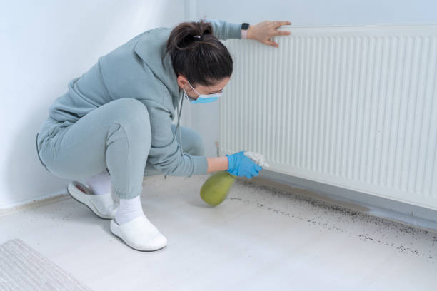 الشركة الالمانية لمكافحة النمل